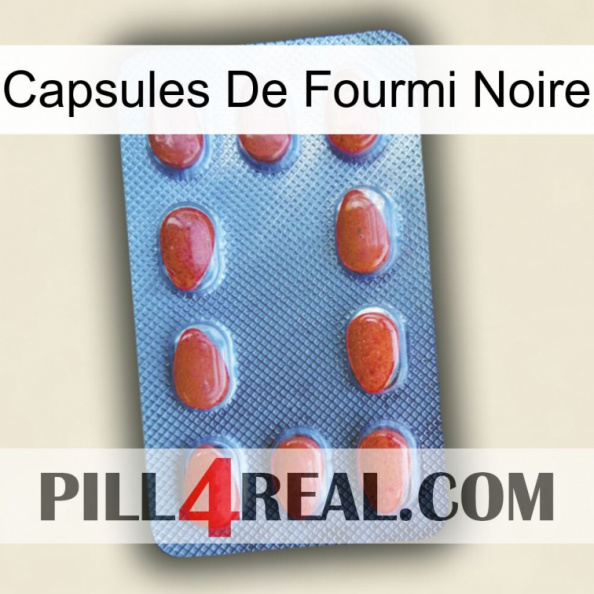 Black Ant Capsules 06.jpg